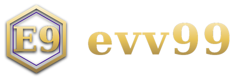 evv99 logo